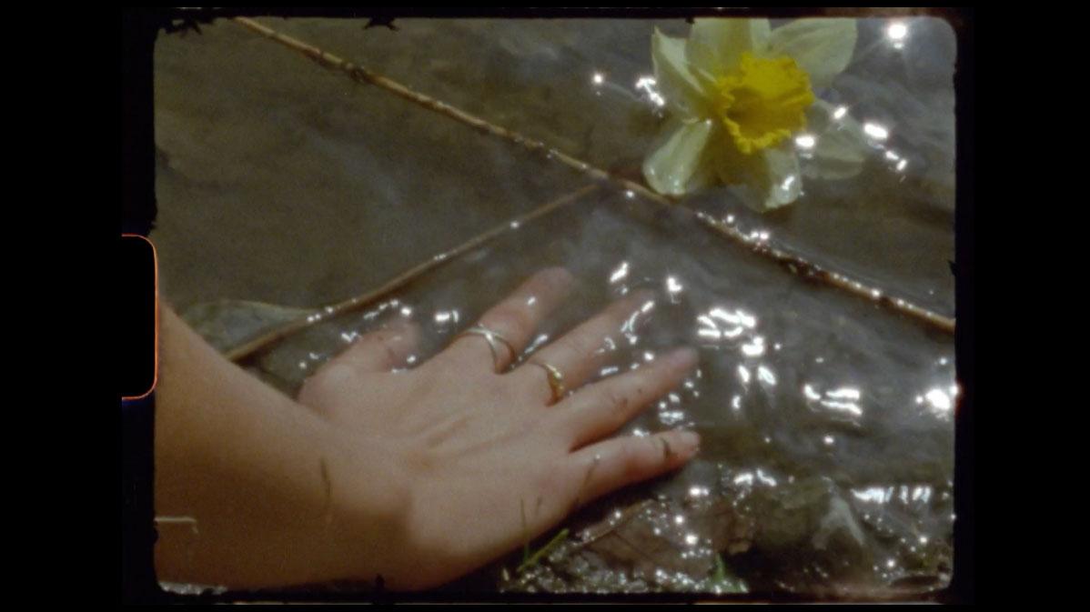 A person's hand sits slightly submerged at the bank of a pond.