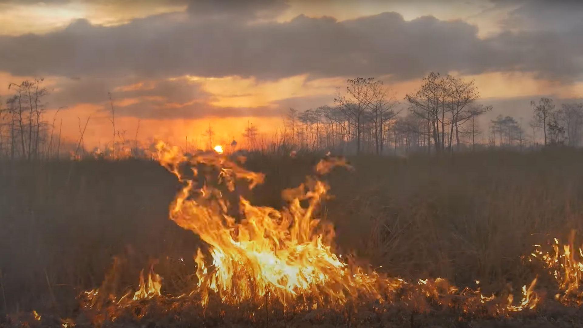 A large fire burning dry grass in an open field.