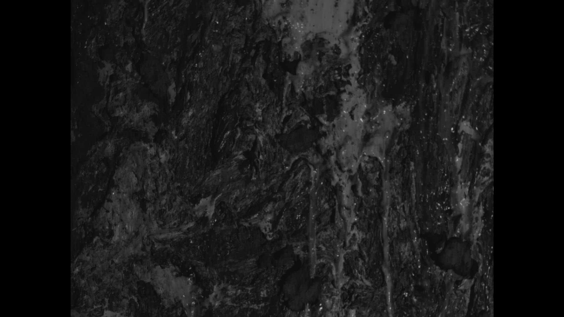 A black and white image of mold growing on a wall