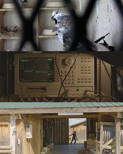 Top image: Two pigeons seen through a cage, with baby pigeons in cubbies in the background. From the short film “Freedom Flier,” directed by Cami Armendariz ’24. Middle image: A close-up image of a computing device with a green line graph on the screen and wires coming out of it. From the short film “Synchrotron Symphony,” directed by Shuqian Lyu ’25. Bottom image: A shot through two open doors of a wooden barn, with Motherwort member Youngiee Quennell in the background closing the far door of the barn.