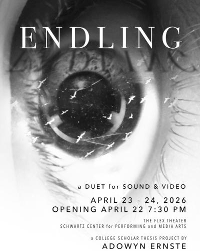 Photograph of a close-up human eye with small bird silhouettes reflected in the pupil, used as a promotional poster for "ENDLING," a sound and video duet. Text details event dates April 23-24, 2026, opening April 22 at 7:30 PM, held at Flex Theater, Schwartz Center for Performing and Media Arts, and credits Adowyn Ernste as the creator.